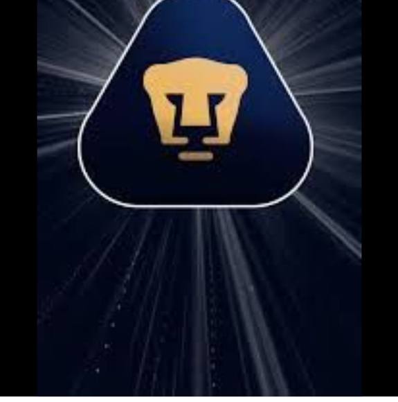 Meet your Posher, Rosa - Picture 1 of 1